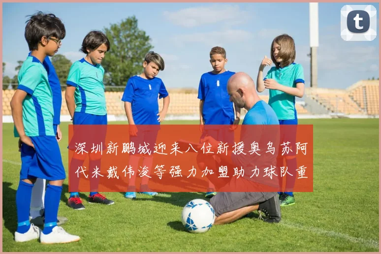 深圳新鹏城迎来八位新援奥乌苏阿代米戴伟浚等强力加盟助力球队重塑辉煌