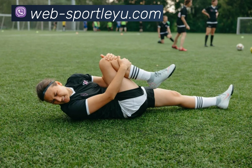 App Interface Preview