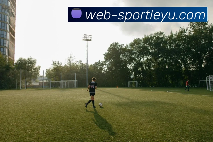 乐鱼体育APP 封面图